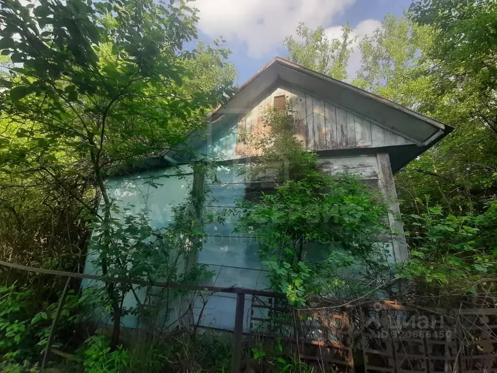 Дом в Тамбовская область, Тамбов Солнечная Поляна СНТ, 15 (20 м) - Фото 1