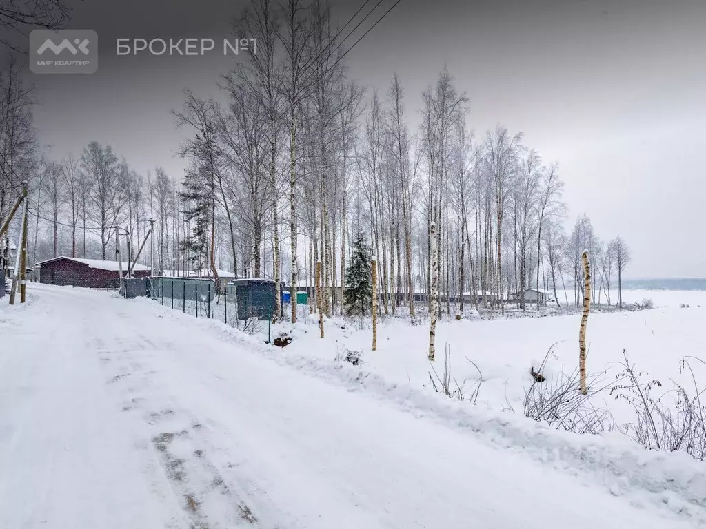 Участок в Ленинградская область, Выборгский район, Полянское с/пос, ... - Фото 2