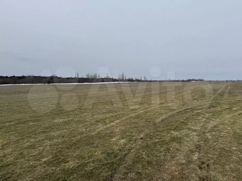 Участок 6 сот. (СНТ, ДНП) - Фото 1