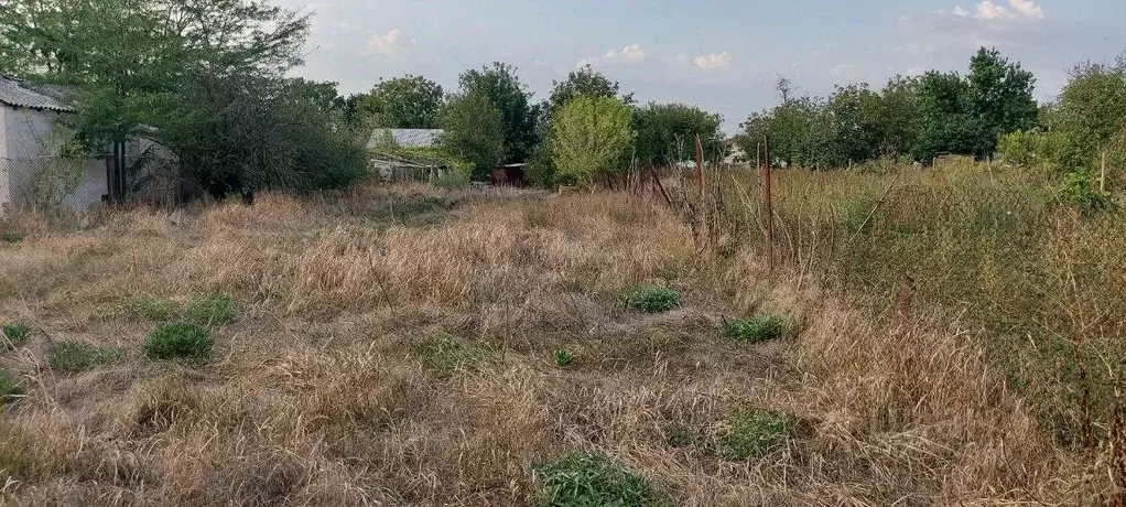 Участок в Крым, Сакский район, с. Веселовка ул. Новая (6.0 сот.) - Фото 1