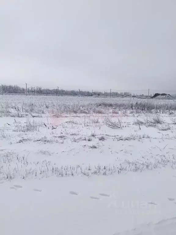 Участок в Ростовская область, Аксайский район, Рассветовское с/пос, ... - Фото 1