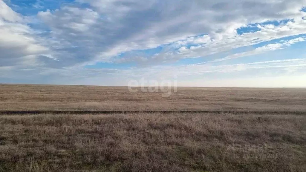 Участок в Крым, Сакский район, Молочненское с/пос, с. Витино ул. ... - Фото 0