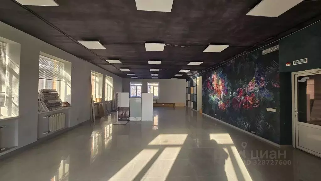 Помещение свободного назначения в Ульяновская область, Ульяновск ул. ... - Фото 1