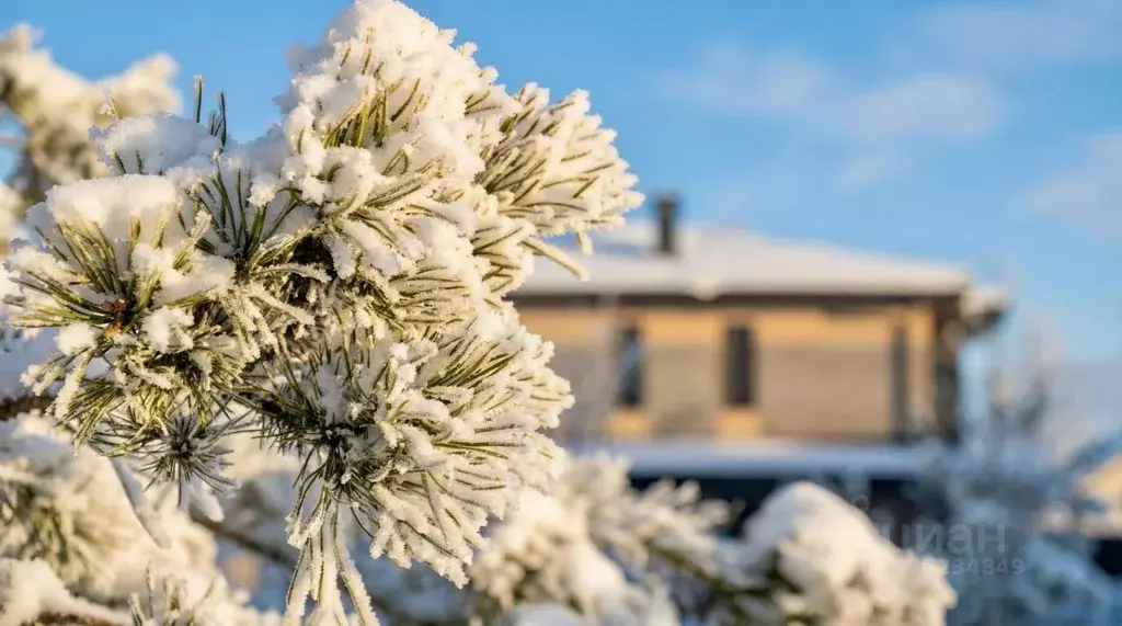 Участок в Московская область, Истра муниципальный округ, д. Падиково ... - Фото 2