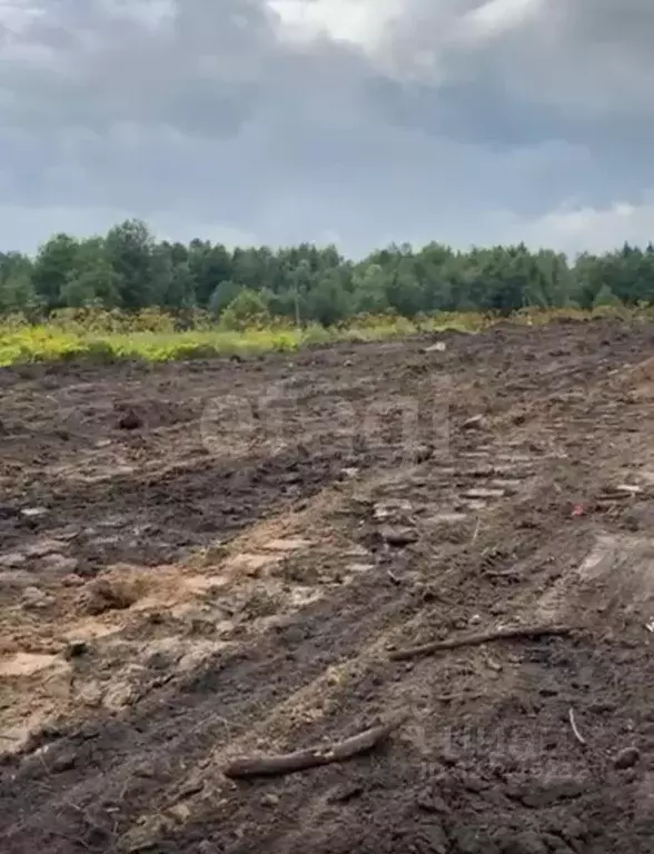 Участок в Костромская область, Судиславское с/пос, пос. Мирный  (300.0 ... - Фото 1