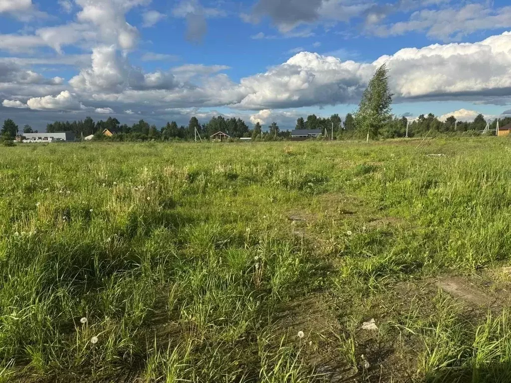 Участок в Московская область, Воскресенск городской округ, с. Михалево ... - Фото 1