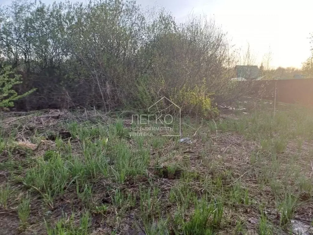 Участок в Новосибирская область, Колыванский район, Металлург СНТ ул. ... - Фото 2