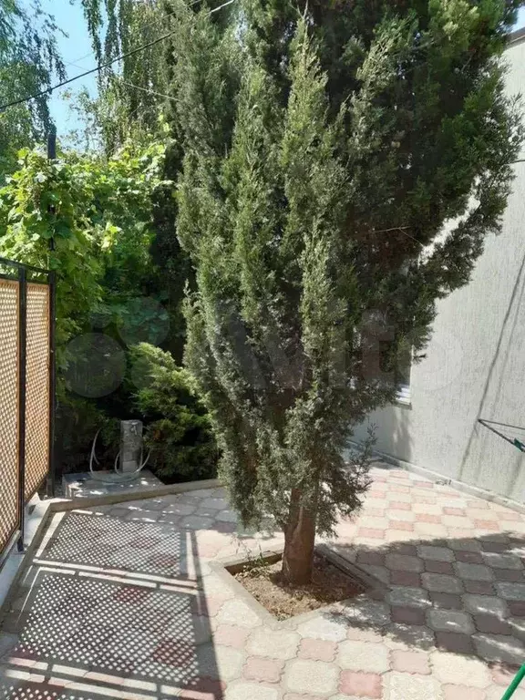 Дом 55 м на участке 3 сот. - Фото 1