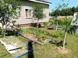 Дом в Московская область, Дмитровский муниципальный округ, Зверобой ... - Фото 1