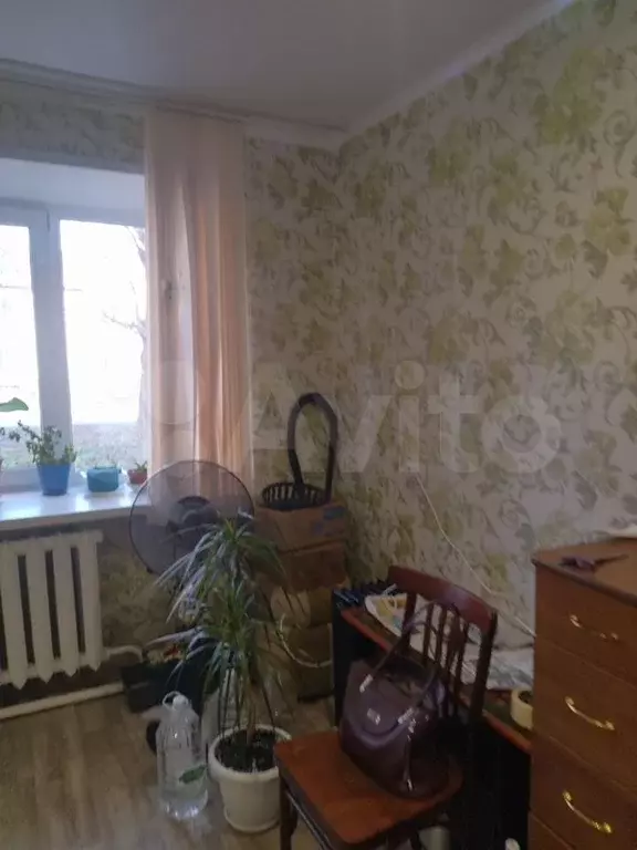 1-к. квартира, 32 м, 1/2 эт. - Фото 1