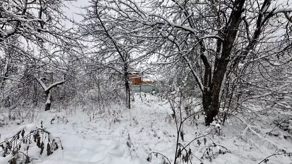 Участок в Саранск, проспект 50 лет Октября (5.19 м) - Фото 1