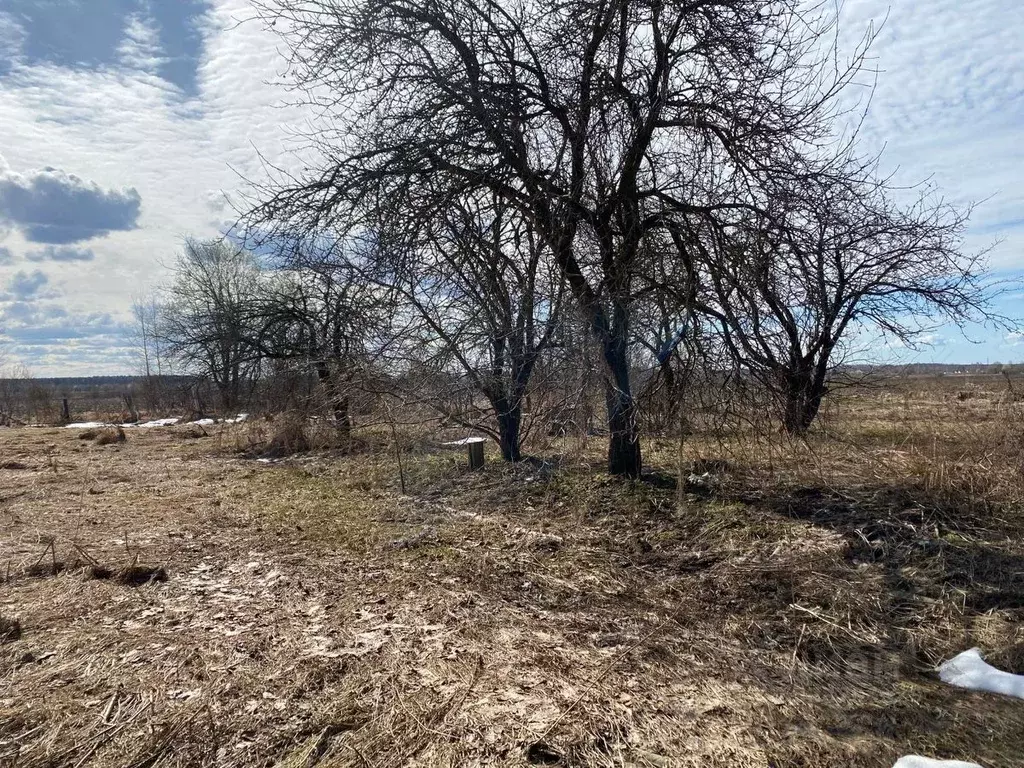 Участок в Тверская область, Конаковский муниципальный округ, д. ... - Фото 2