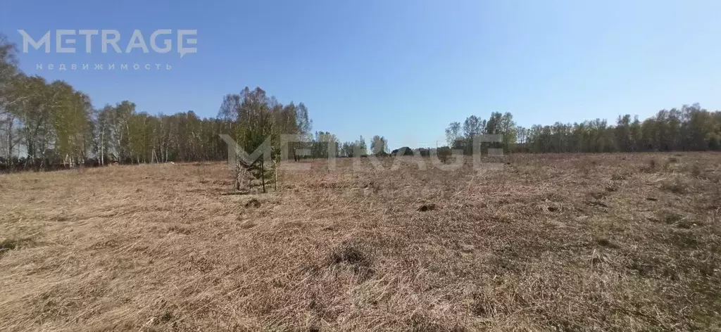 Участок в Новосибирская область, Бердск ул. 8 Марта (12.5 сот.) - Фото 0