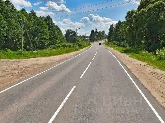 Дом в Брянская область, Клинцы городской округ, с. Займище, пос. ... - Фото 1