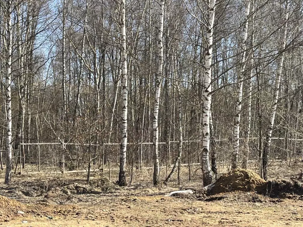 Участок, 6 сот., поселения (ижс) - Фото 1