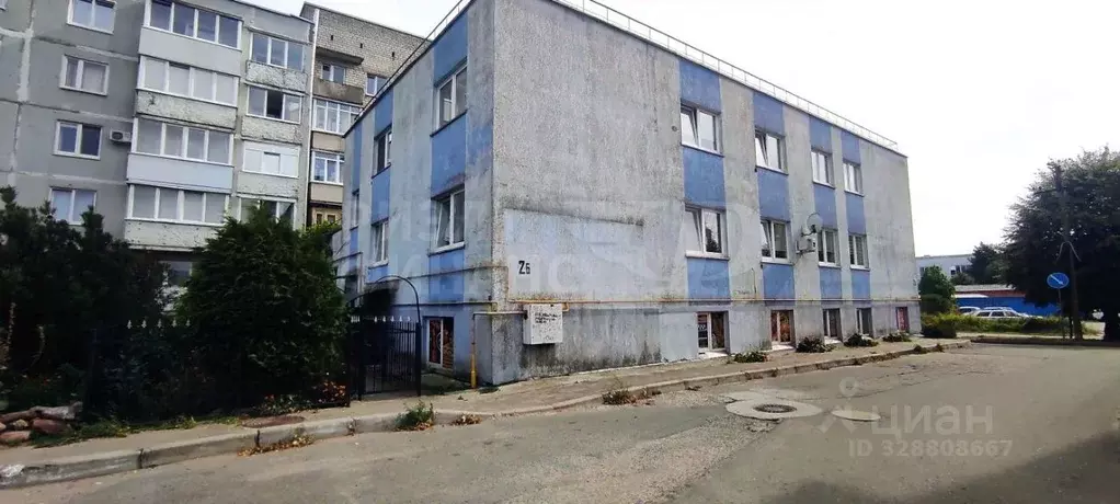 Помещение свободного назначения в Калининградская область, Светлый ул. ... - Фото 2