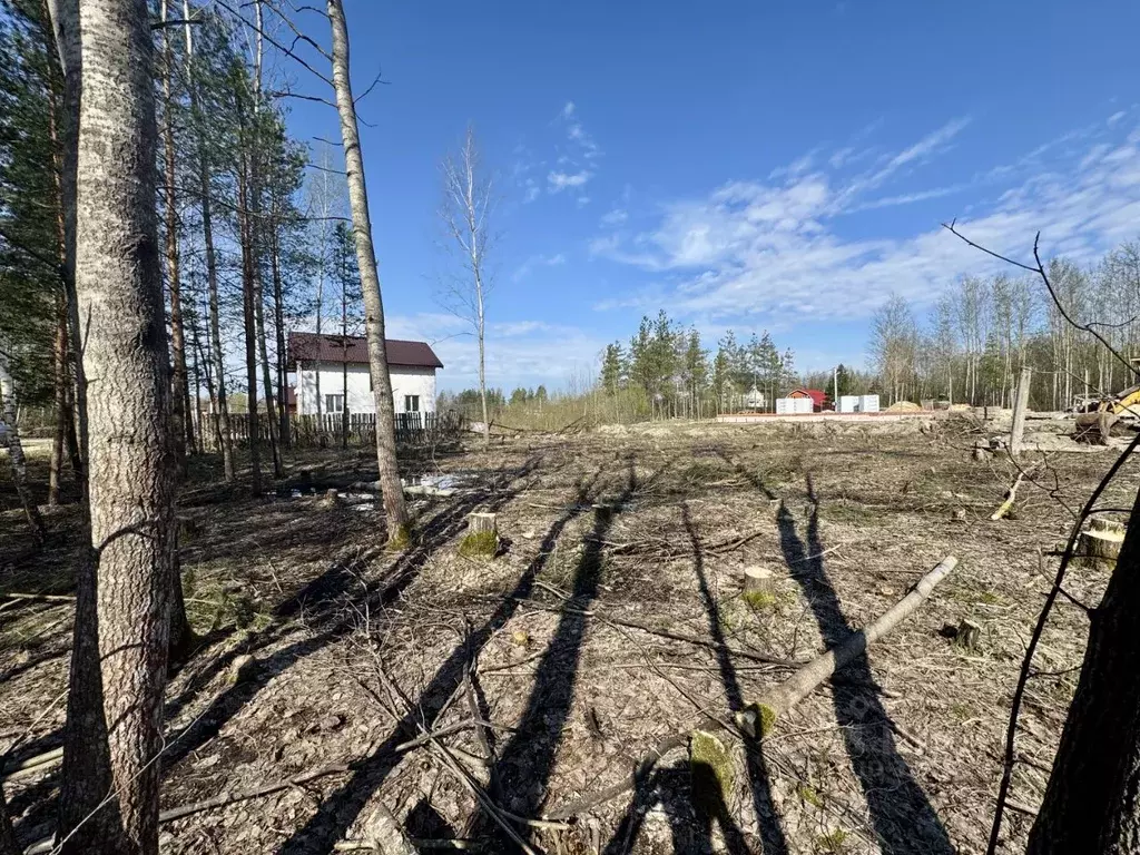 Участок в Московская область, Ликино-Дулево Орехово-Зуевский городской ... - Фото 1