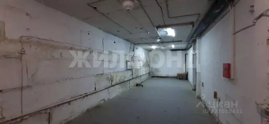 Склад в Новосибирская область, Новосибирск ул. Кирова, 317 (210 м) - Фото 1