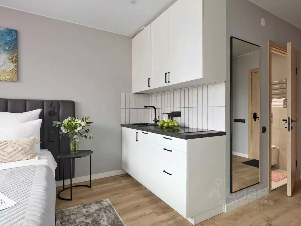 1-к кв. Санкт-Петербург просп. Энергетиков, 2к2 (22.0 м) - Фото 2