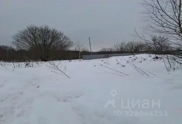 Участок в Московская область, Лосино-Петровский Колхозная ул. (4.06 ... - Фото 1