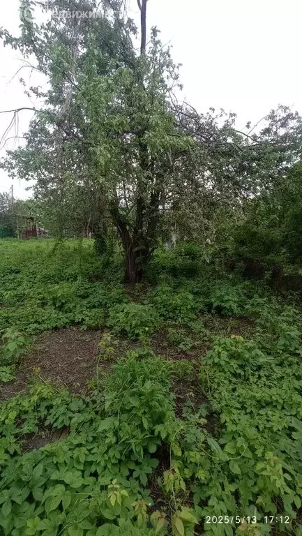 Участок в Тольятти, СНТ Синтезкаучук, 3-я Дачная улица (8 м) - Фото 0