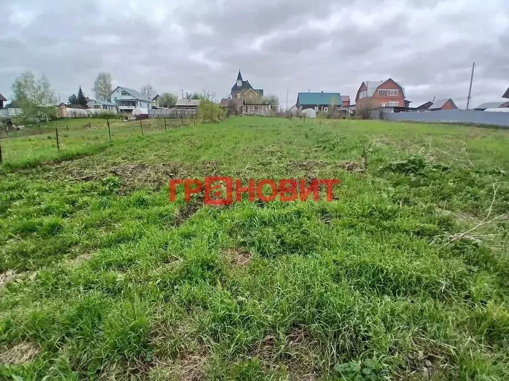 Участок в Новосибирская область, Новосибирский район, Каменский ... - Фото 1