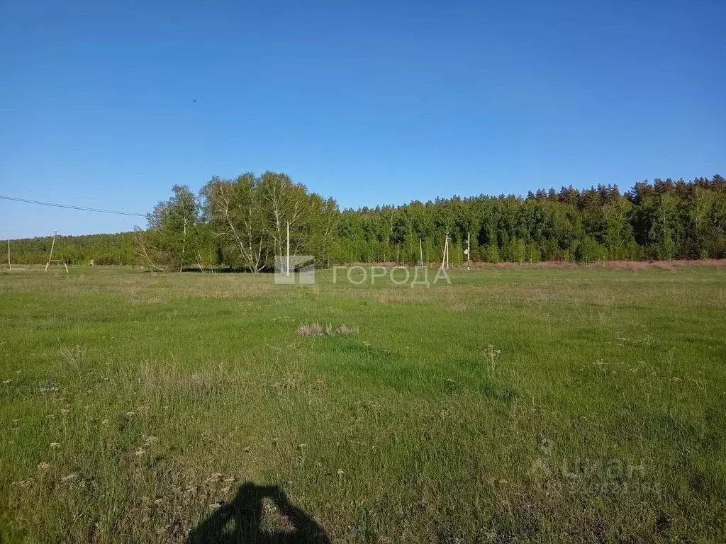 Участок в Алтайский край, Калманский район, с. Зимари ул. 1-я Клубная, ... - Фото 0
