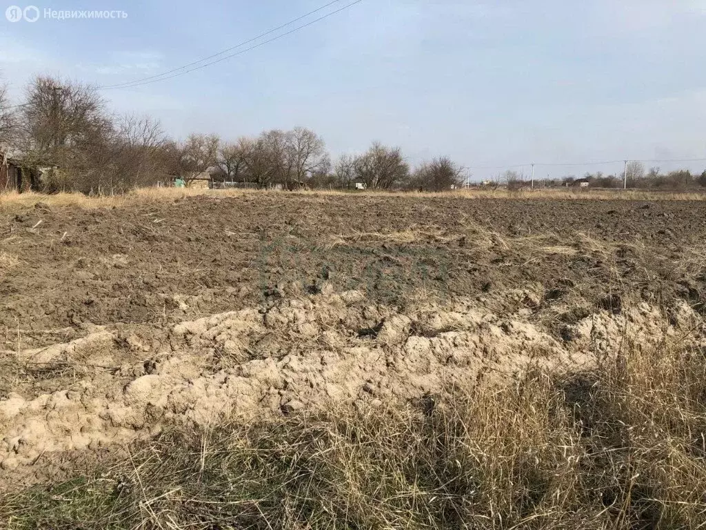 Участок в Верхнеподпольненское сельское поселение, хутор Алитуб, ... - Фото 0
