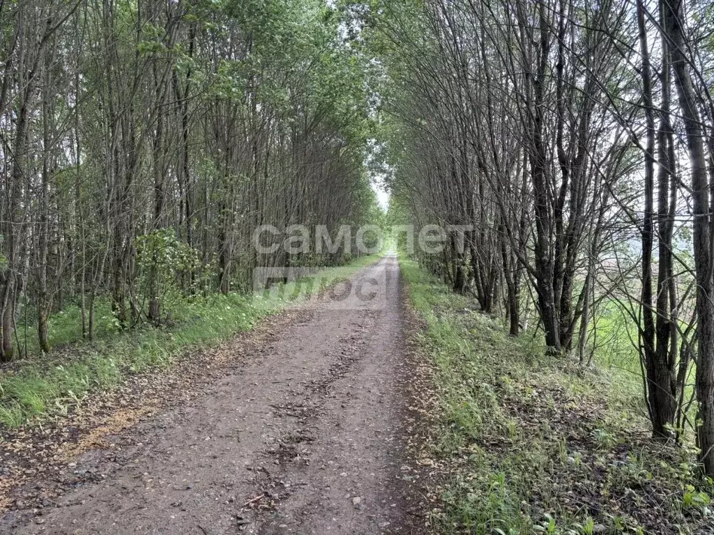Дом в Костромская область, Судиславский муниципальный округ, д. ... - Фото 2