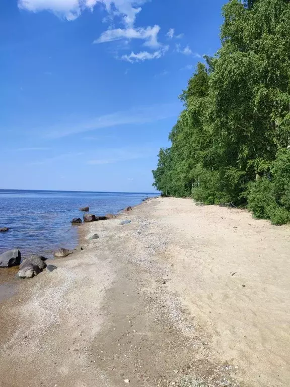 Участок в Ярославская область, Рыбинский муниципальный округ, ... - Фото 0