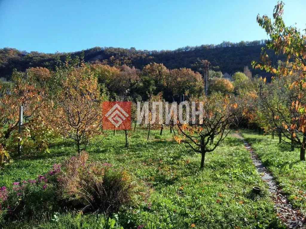 Участок в Севастополь Заречный садовое товарищество, 42 (4.2 сот.) - Фото 2