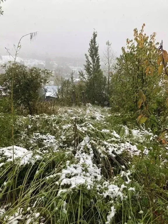 Участок в Кемеровская область, Таштагольский район, Шерегешское ... - Фото 1