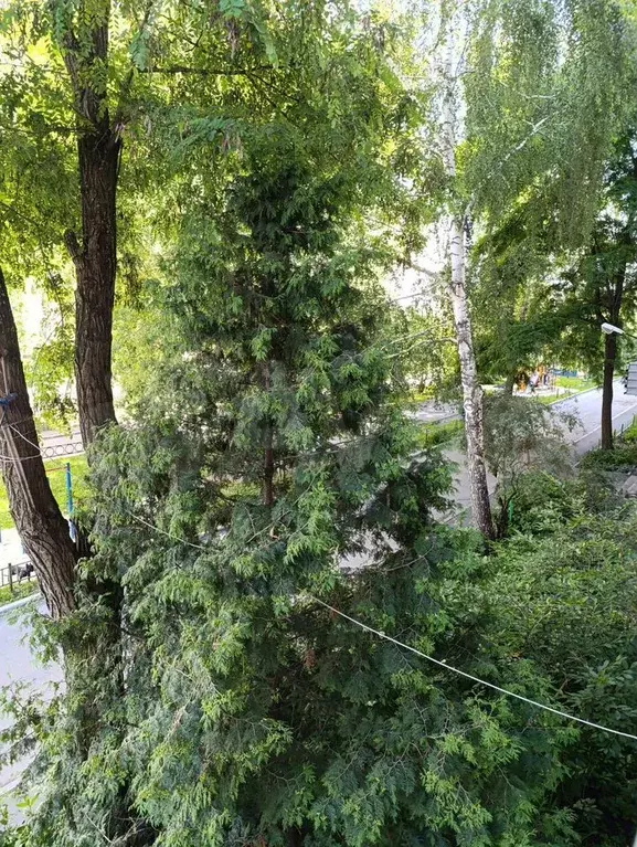 1-к. квартира, 37 м, 2/5 эт. - Фото 0
