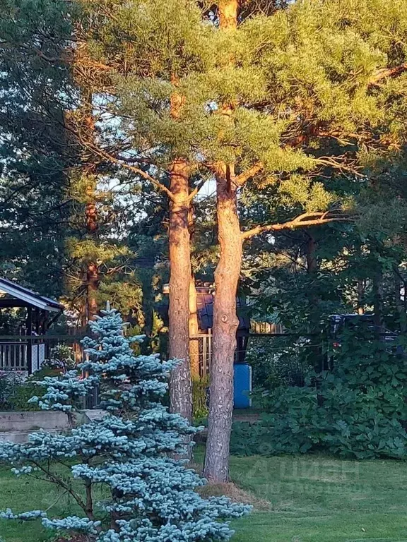 Дом в Ленинградская область, Всеволожский район, Сертоловское ... - Фото 1