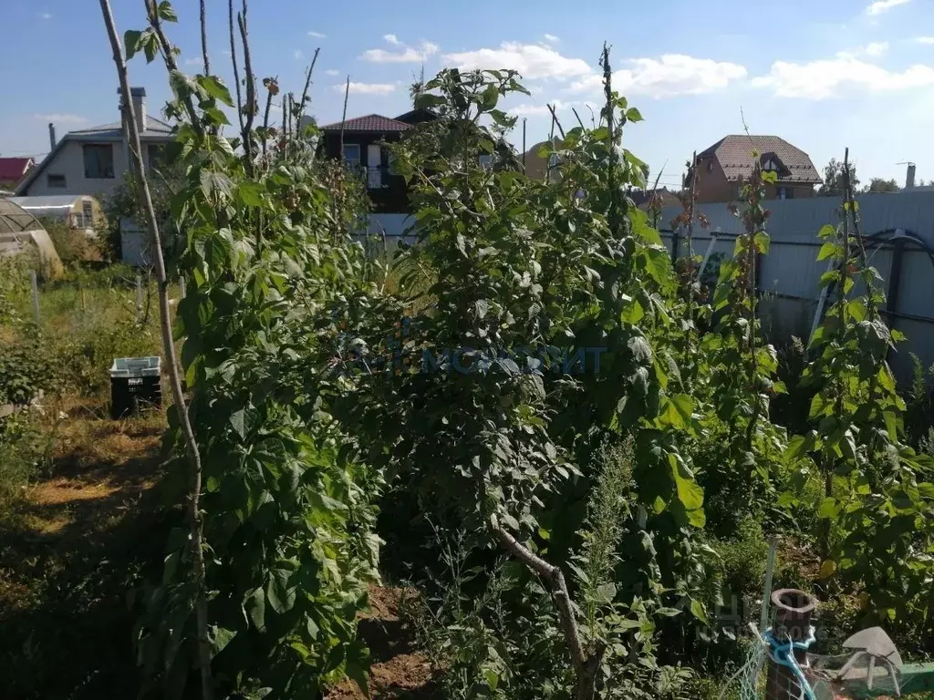 Участок в Нижегородская область, Нижний Новгород ул. Ползунова, 38 ... - Фото 0