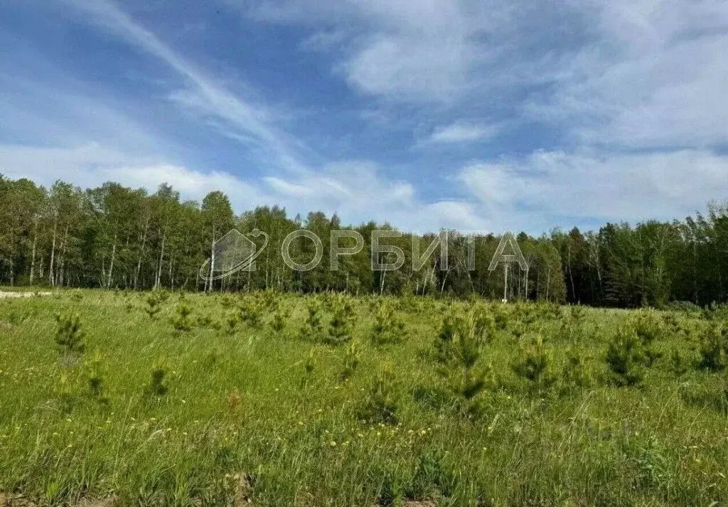 Участок в Тюменская область, Тюменский район, д. Ушакова Зеленая ул. ... - Фото 0
