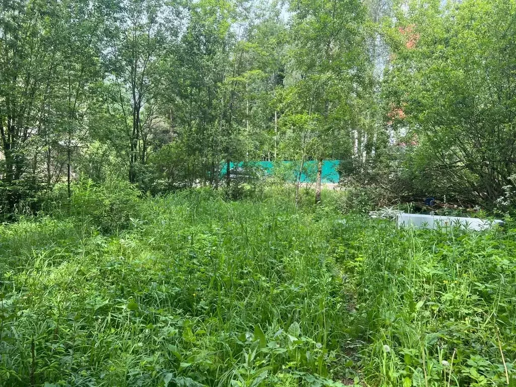 Участок в Московская область, Одинцовский городской округ, пос. НИИ ... - Фото 1