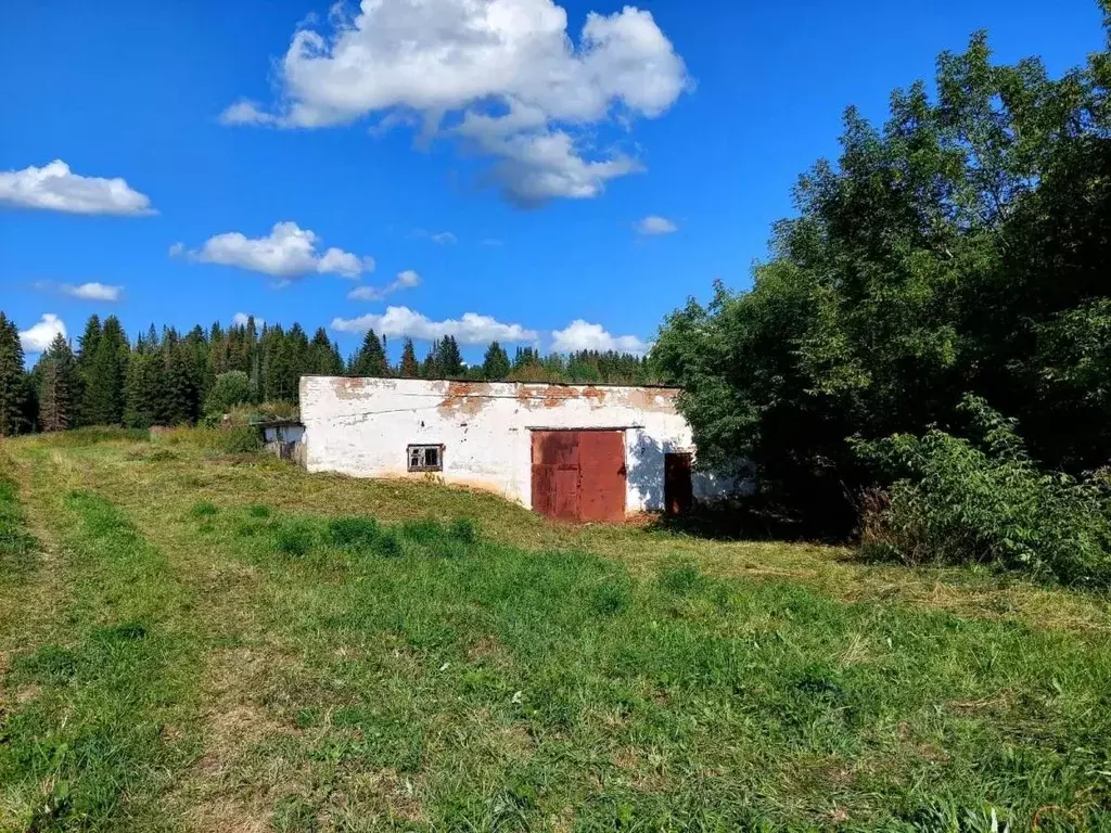 Помещение свободного назначения в Удмуртия, Малопургинский район, с. ... - Фото 0