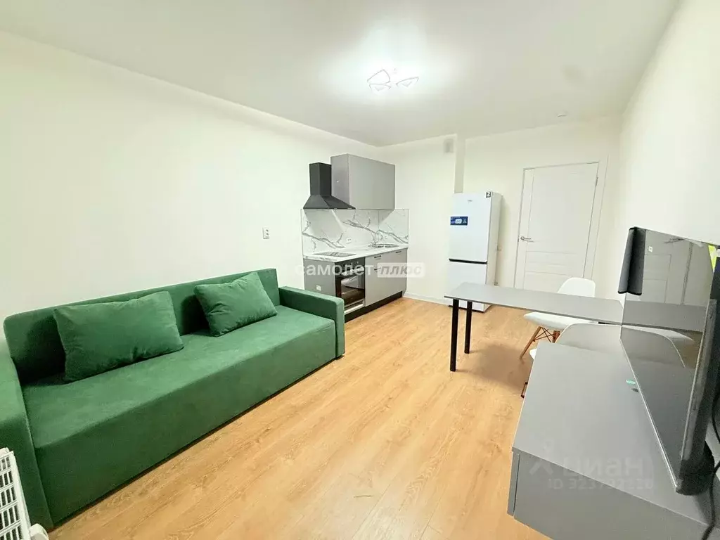 Студия Ленинградская область, Мурино Всеволожский район, просп. ... - Фото 2