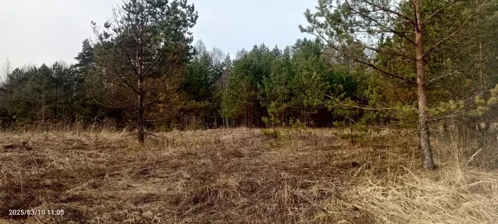 Участок в Смоленская область, Демидовский муниципальный округ, д. ... - Фото 1