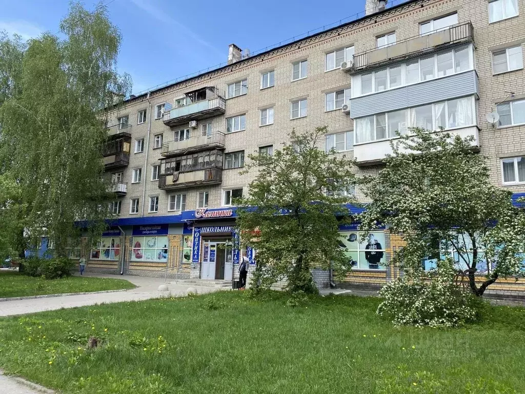 1-к кв. Нижегородская область, Бор ул. Ленина, 133 (29.9 м) - Фото 2