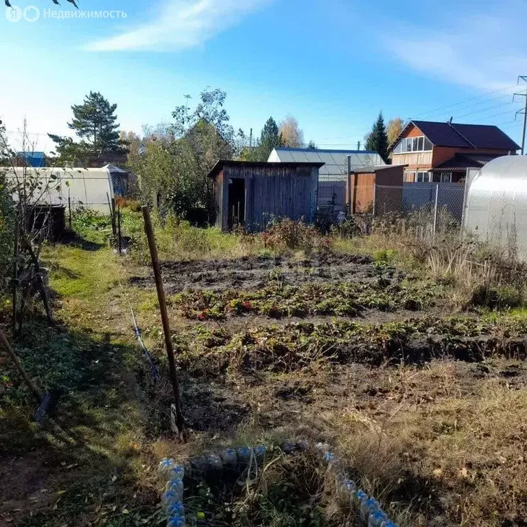 Участок в Новосибирск, СНТ Надежда (6.3 м) - Фото 2