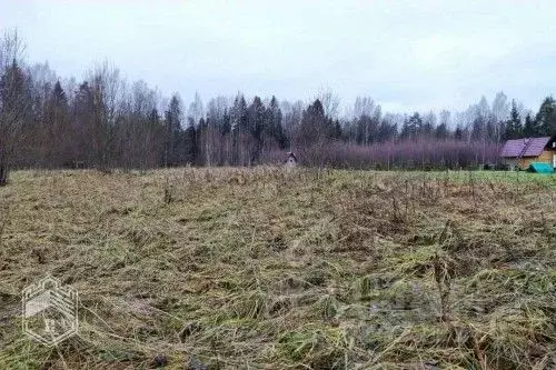 Участок в Новгородская область, Новгородский район, Савинское с/пос, ... - Фото 2