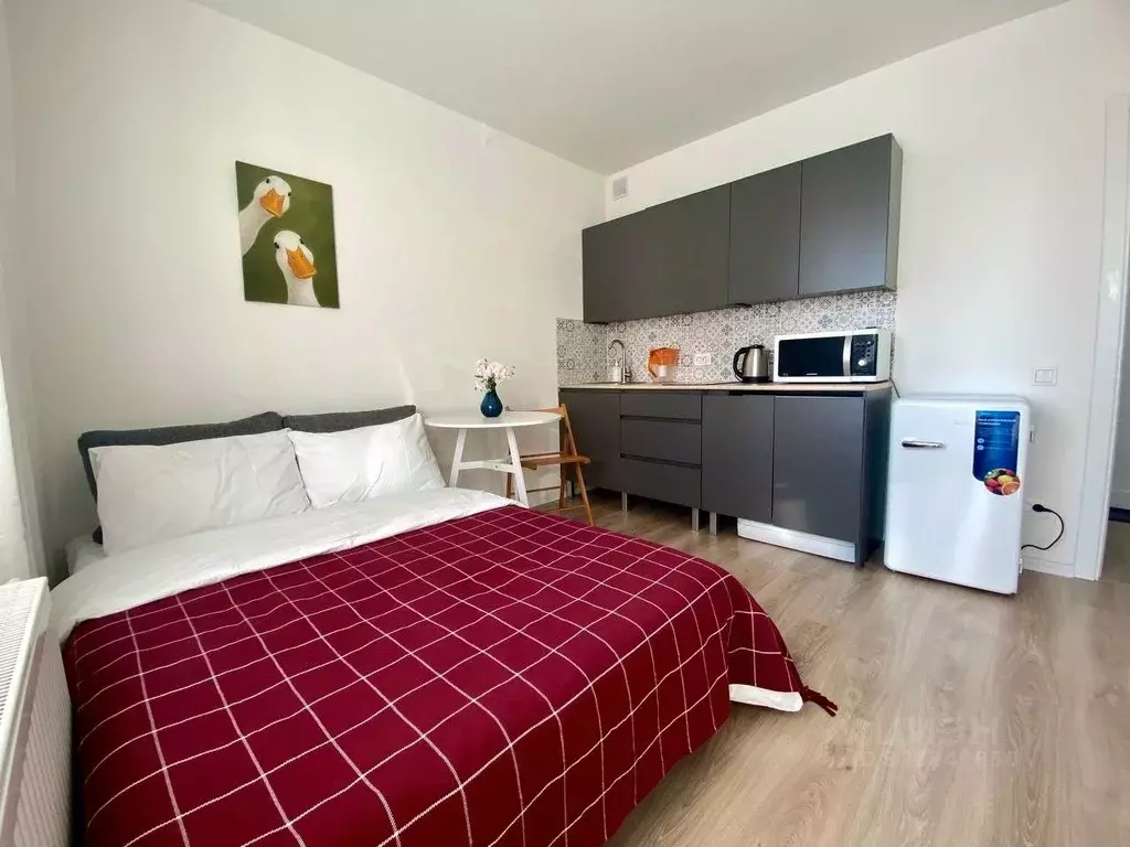 Студия Санкт-Петербург ул. Пахомовская, 25 (25.0 м) - Фото 1