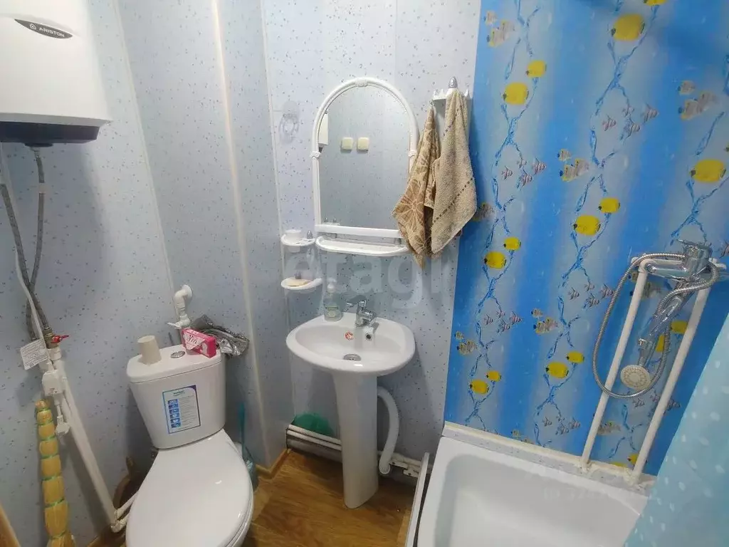 Студия Курганская область, Шадринск ул. Карла Маркса, 82 (16.9 м) - Фото 1