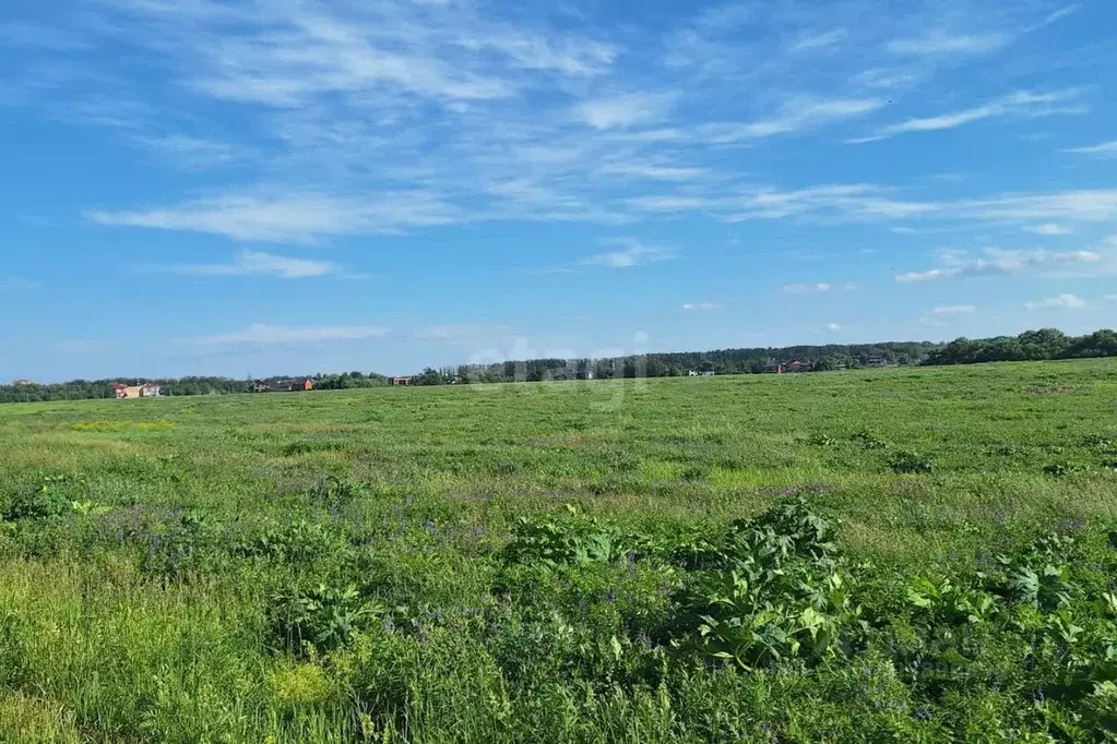 участок в тульская область, новомосковск (171.0 сот.) - Фото 0