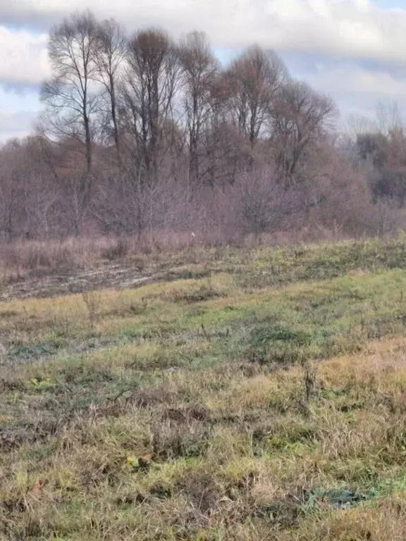 Участок в Белгородская область, Яковлевский муниципальный округ, с. ... - Фото 2