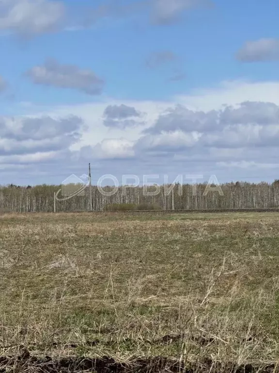 Участок в Тюменская область, Тюменский район, д. Елань  (8.13 сот.) - Фото 0