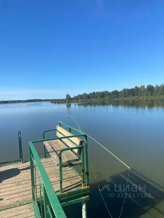 Участок в Нижегородская область, Городецкий муниципальный округ, д. ... - Фото 1