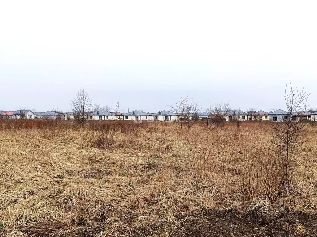 Участок в Калининградская область, Гурьевский муниципальный округ, ... - Фото 1